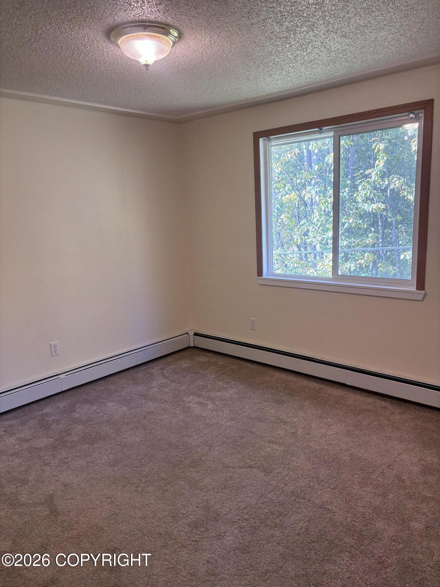 5350 Lake Otis Parkway #11 Property Photo 5