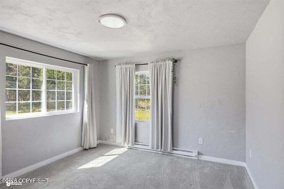 46715 Spruce Haven Street Property Photo 17