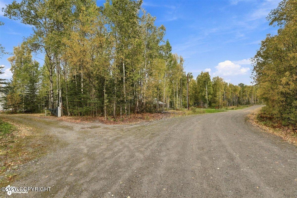 49268 S Denali View Drive Property Photo 24
