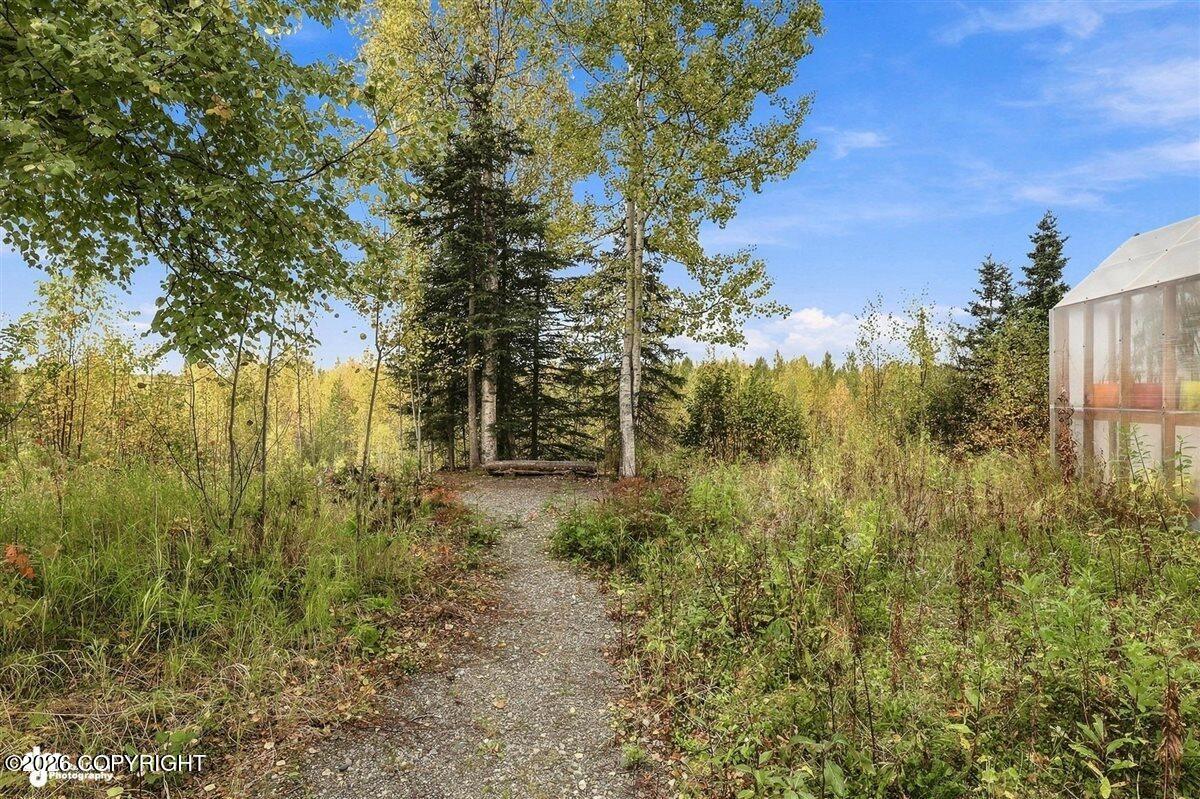 49268 S Denali View Drive Property Photo 38