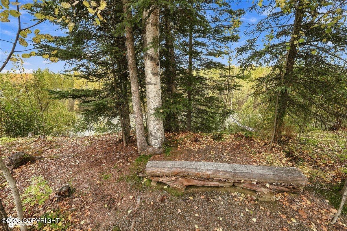 49268 S Denali View Drive Property Photo 39