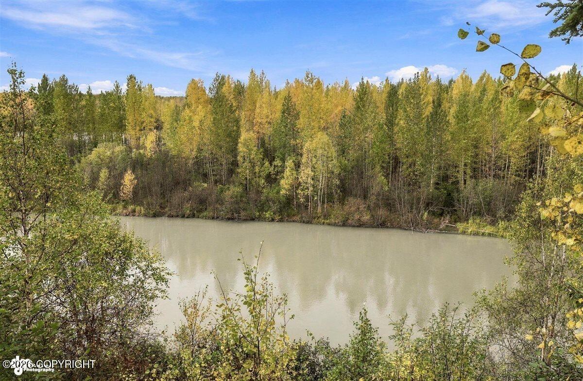 49268 S Denali View Drive Property Photo 40