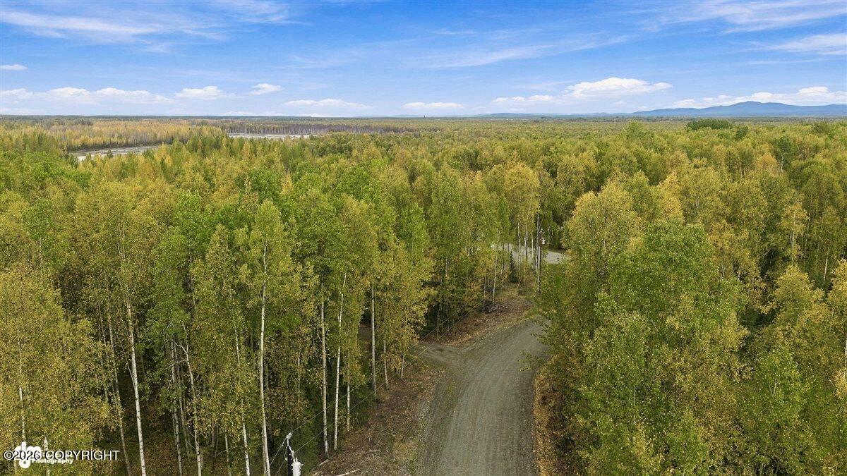 49268 S Denali View Drive Property Photo 56