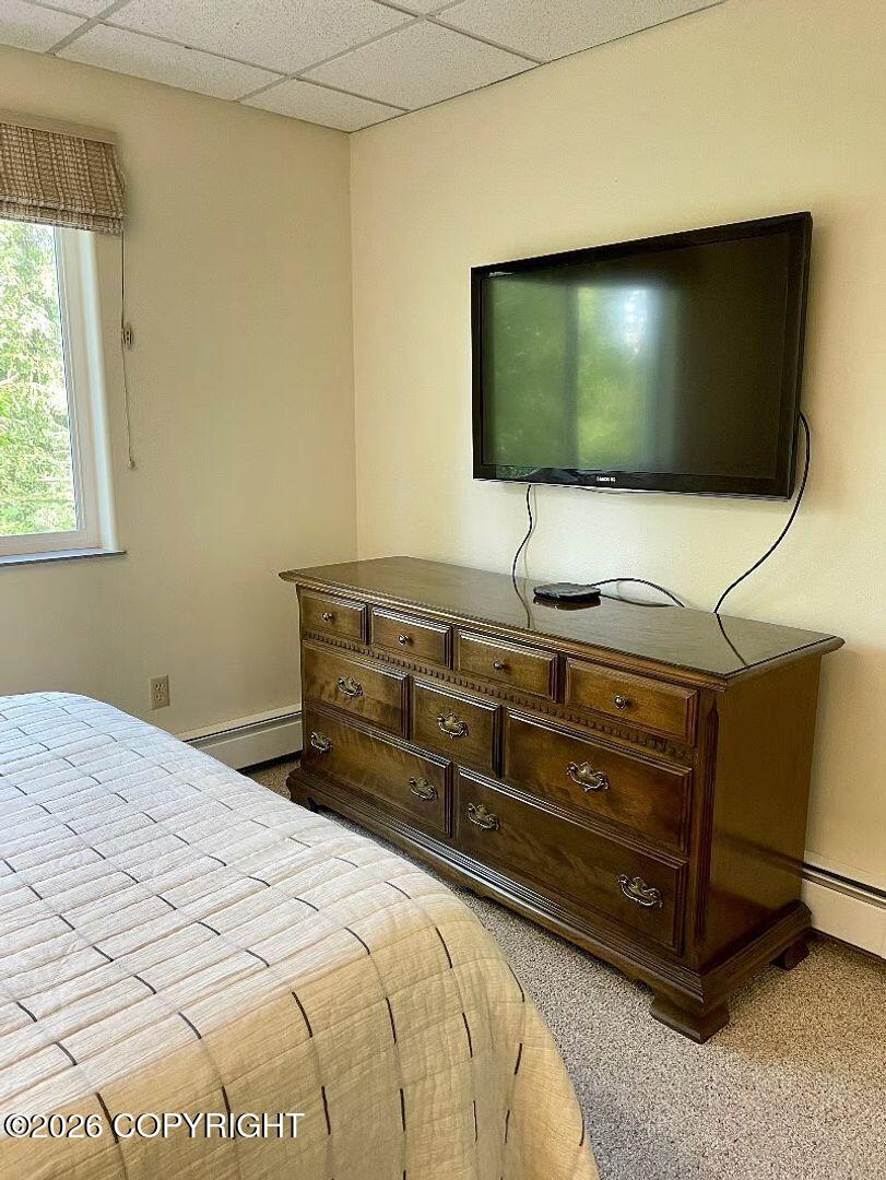 33125 Rensselaer Lane Lower Unit Property Photo 7