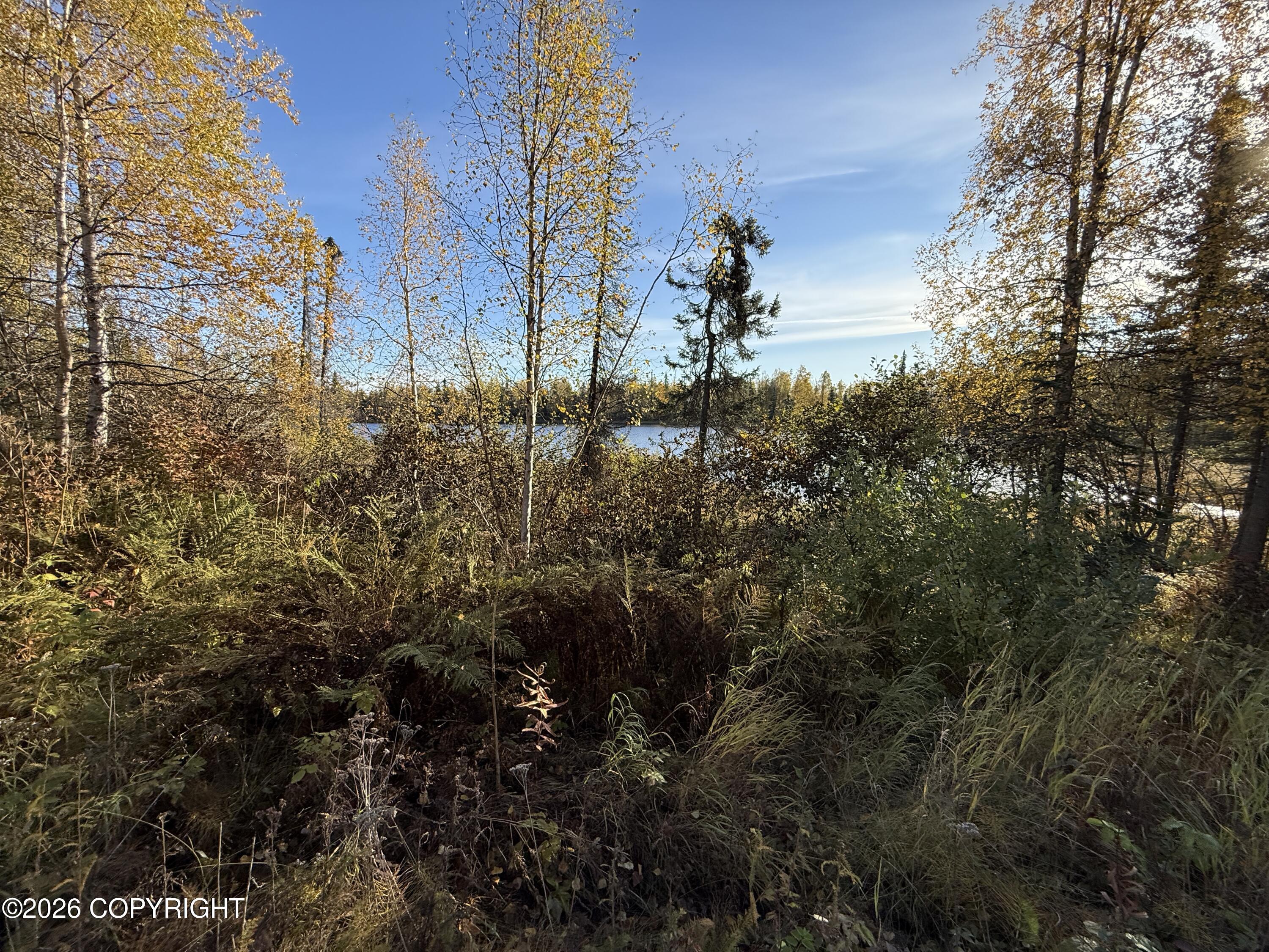 3134 W Petersville Road Property Photo 46