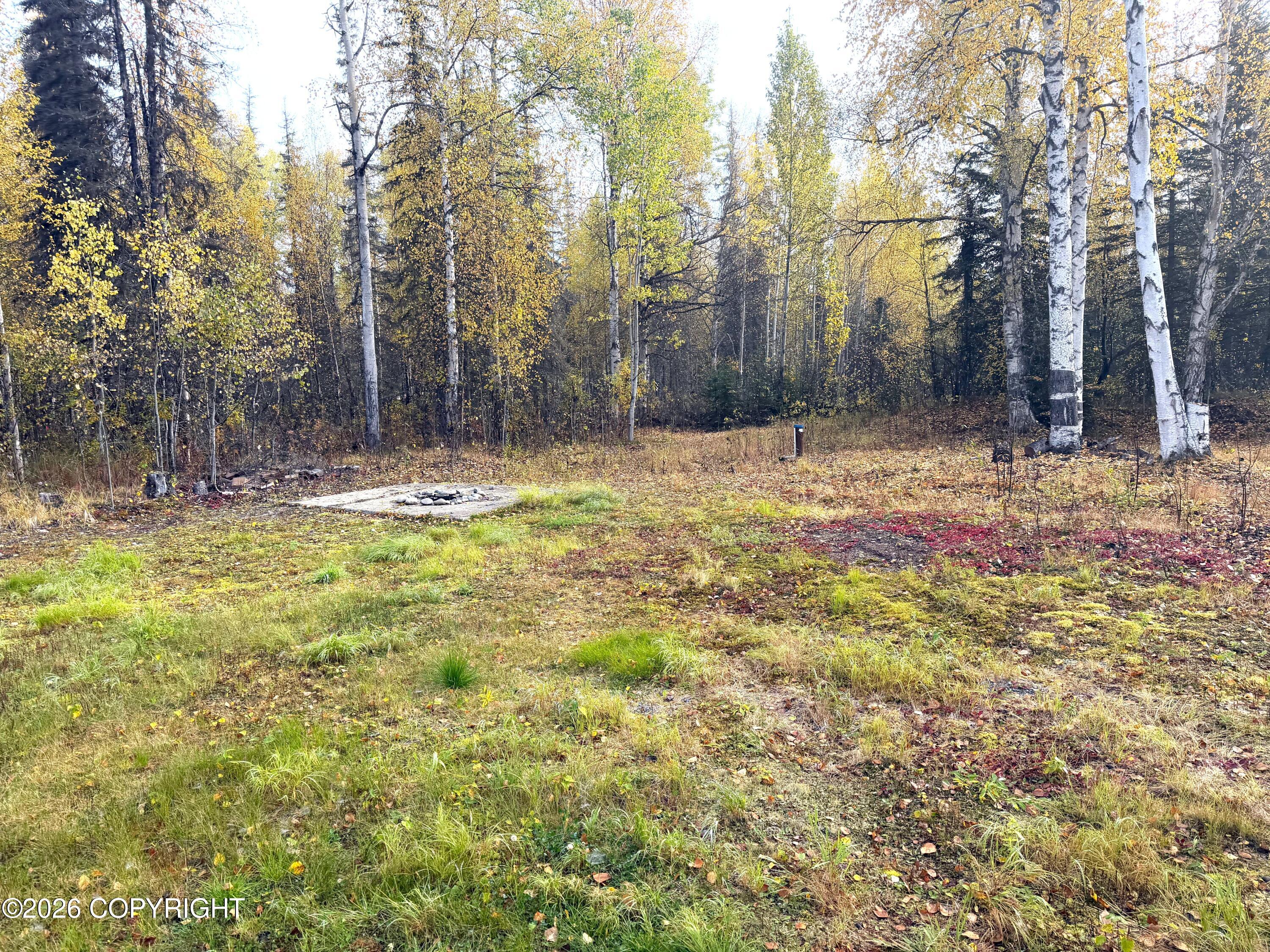 14895 E Susitna Shores Road Property Photo 14