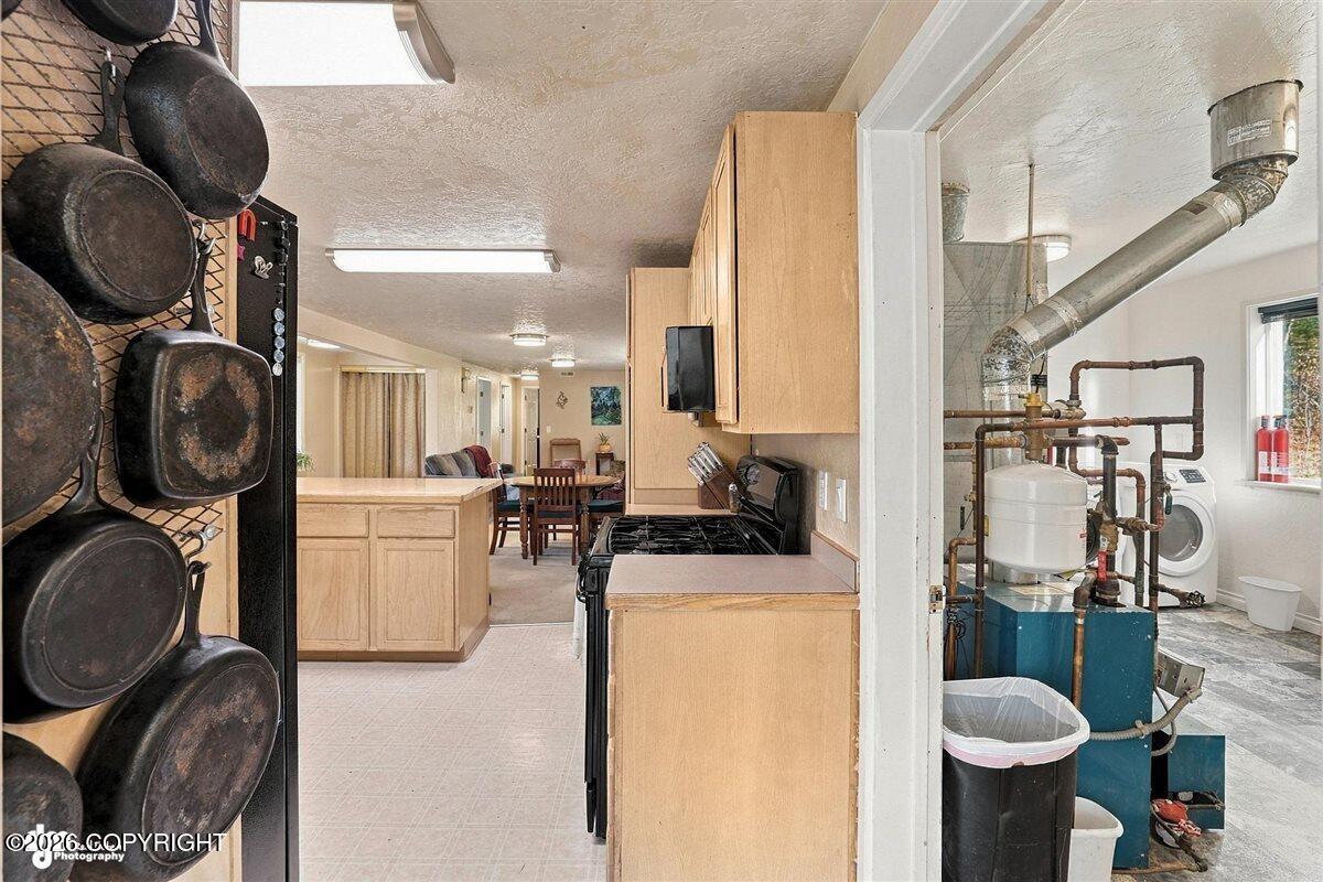 29453 W Parks Highway Property Photo 12