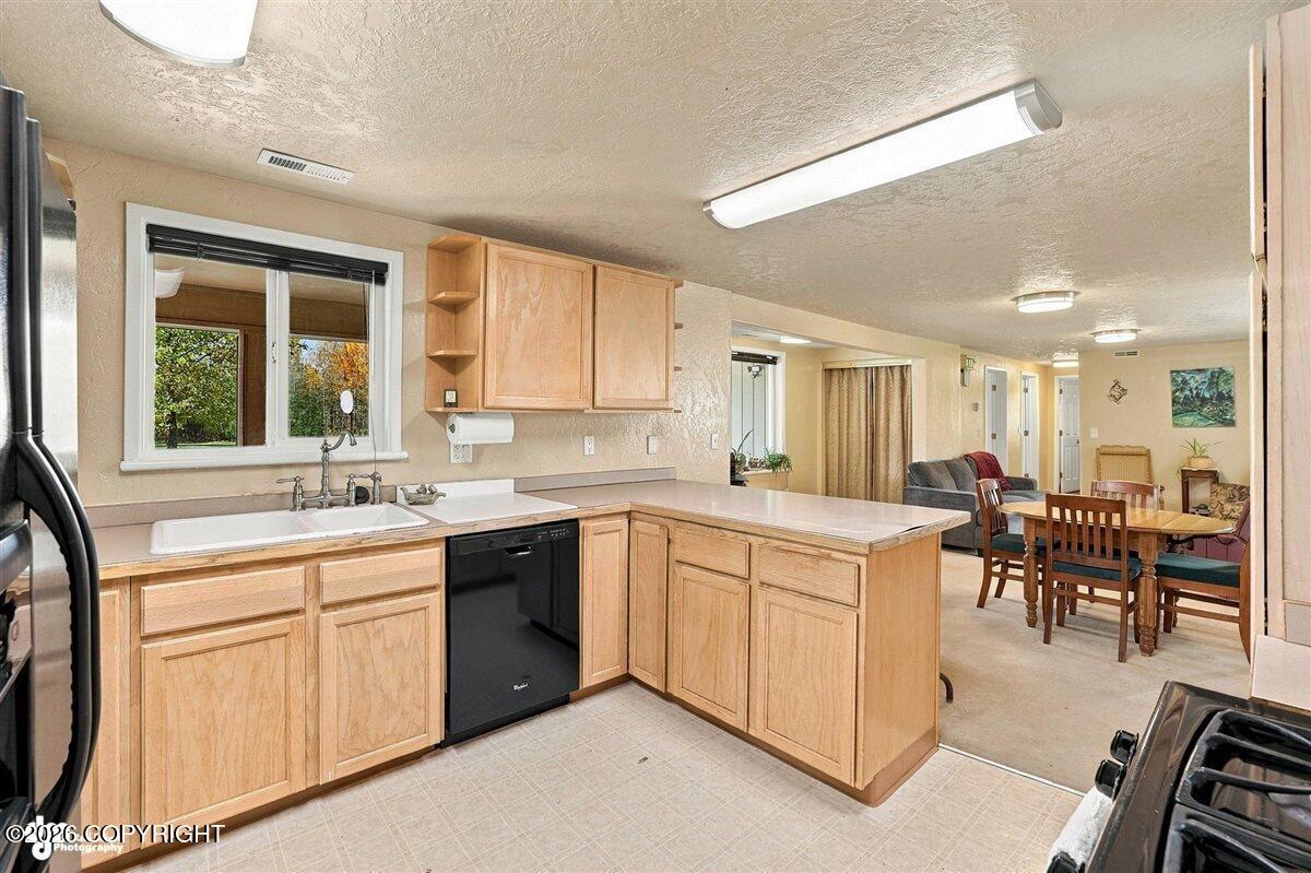 29453 W Parks Highway Property Photo 14
