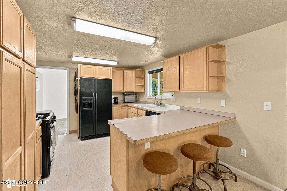 29453 W Parks Highway Property Photo 15