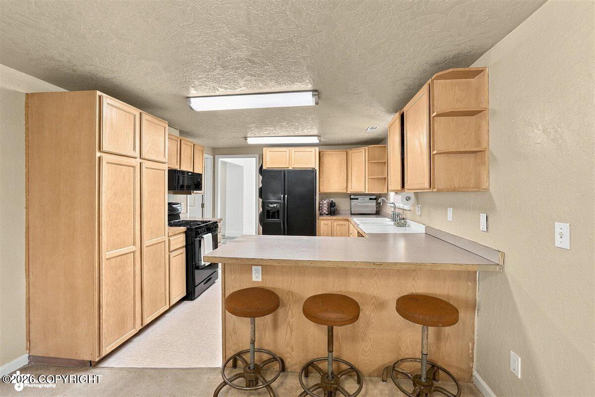 29453 W Parks Highway Property Photo 16