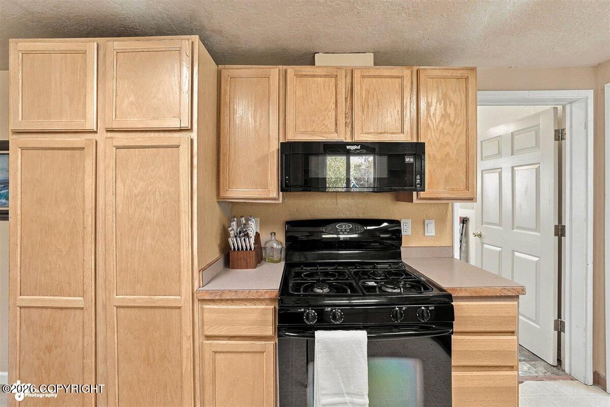 29453 W Parks Highway Property Photo 17