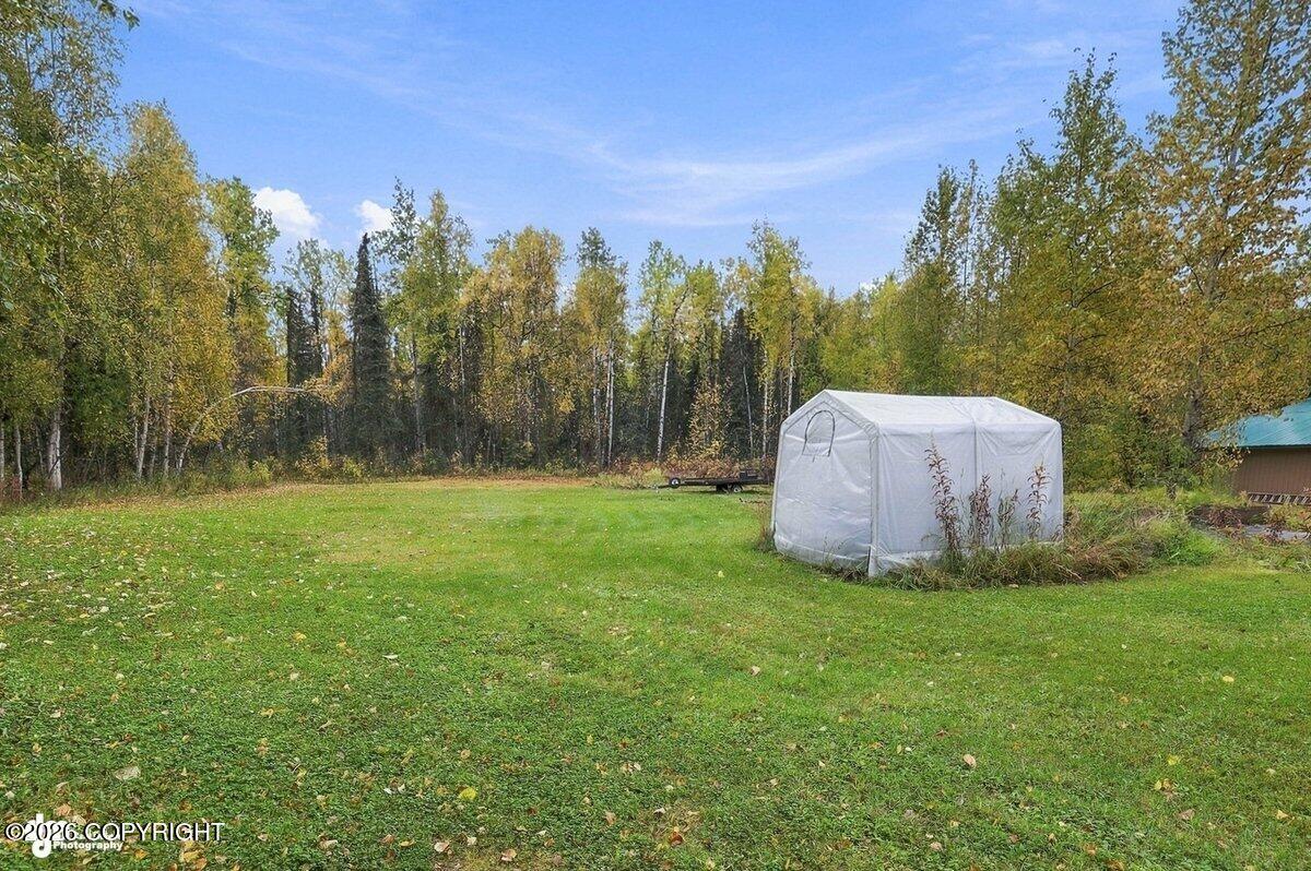 29453 W Parks Highway Property Photo 18