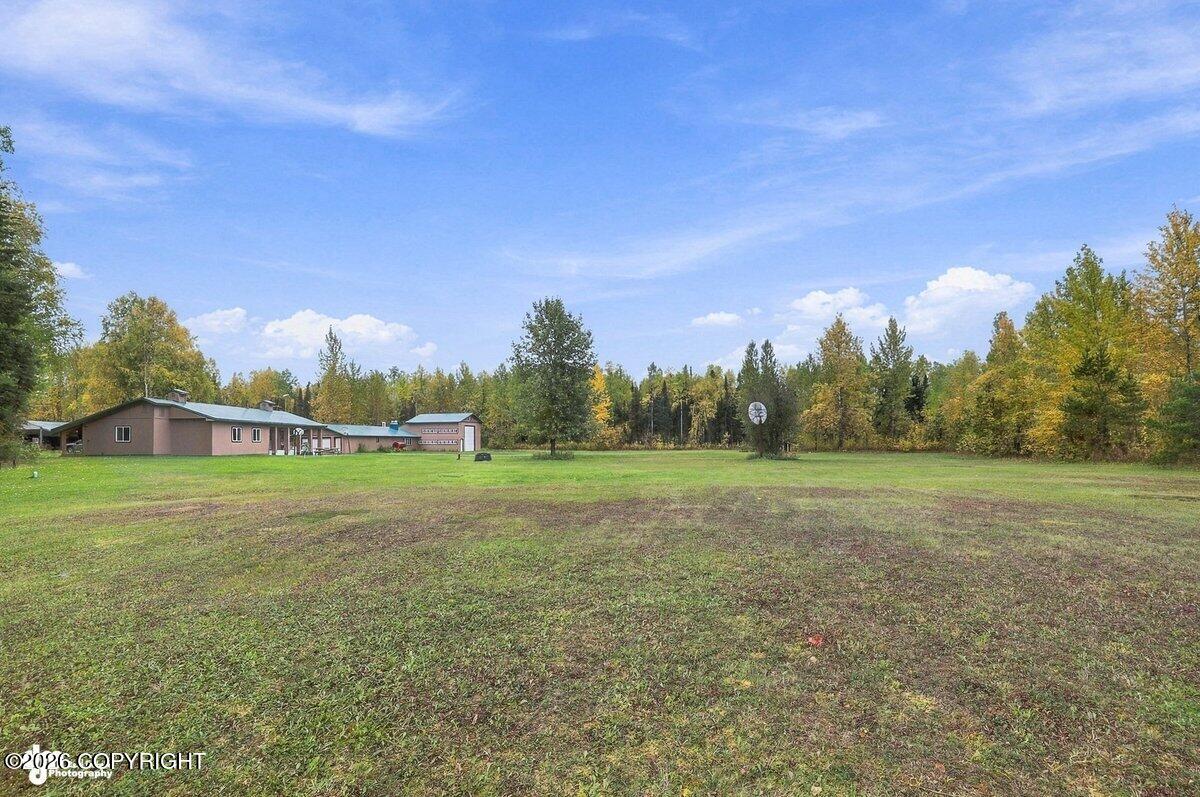 29453 W Parks Highway Property Photo 19