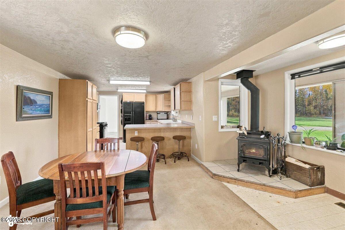 29453 W Parks Highway Property Photo 20