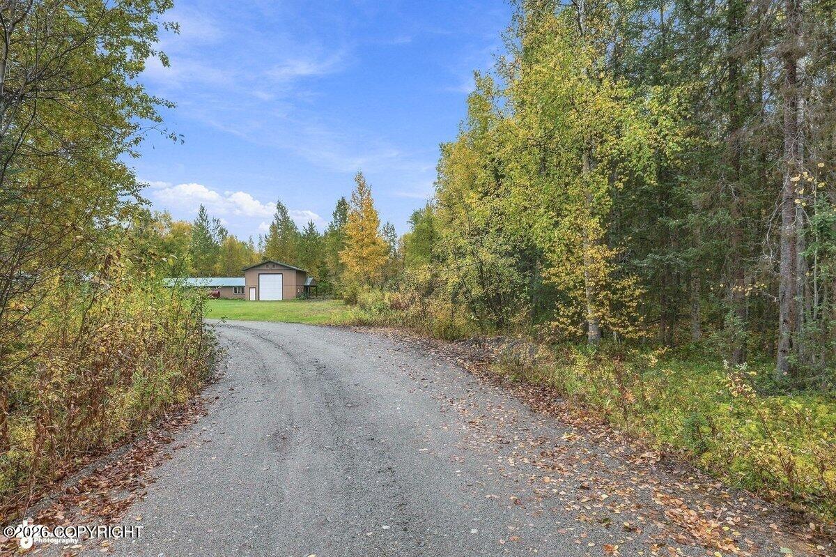29453 W Parks Highway Property Photo 21