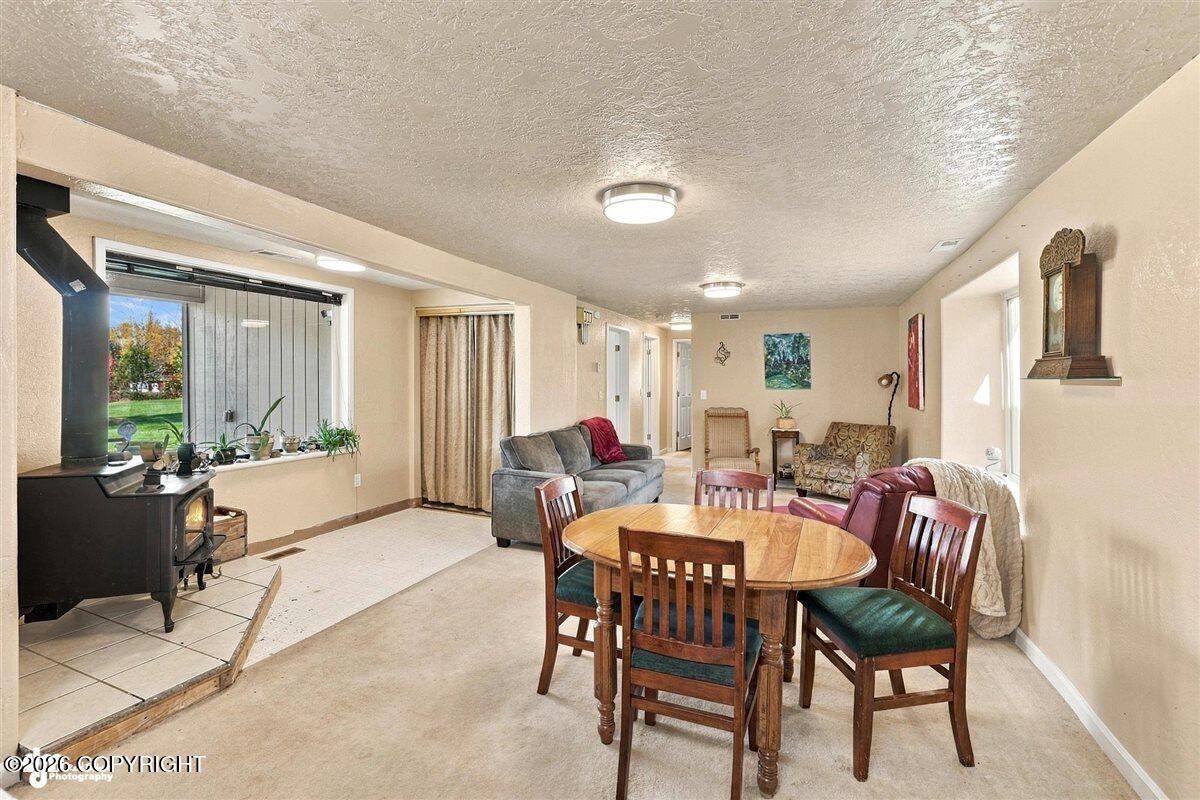 29453 W Parks Highway Property Photo 21