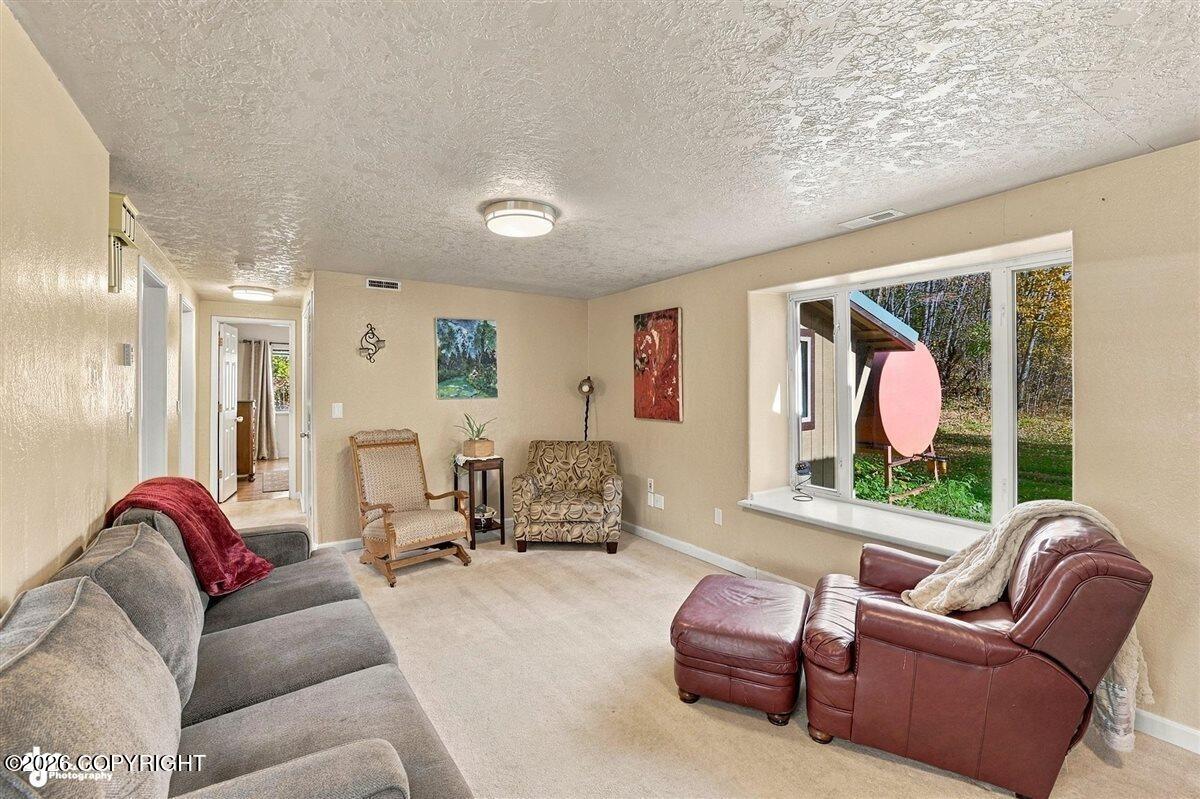 29453 W Parks Highway Property Photo 22