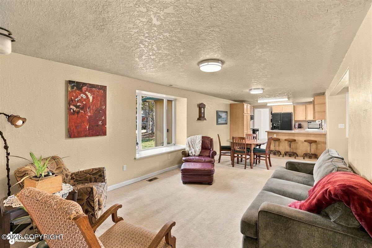 29453 W Parks Highway Property Photo 23