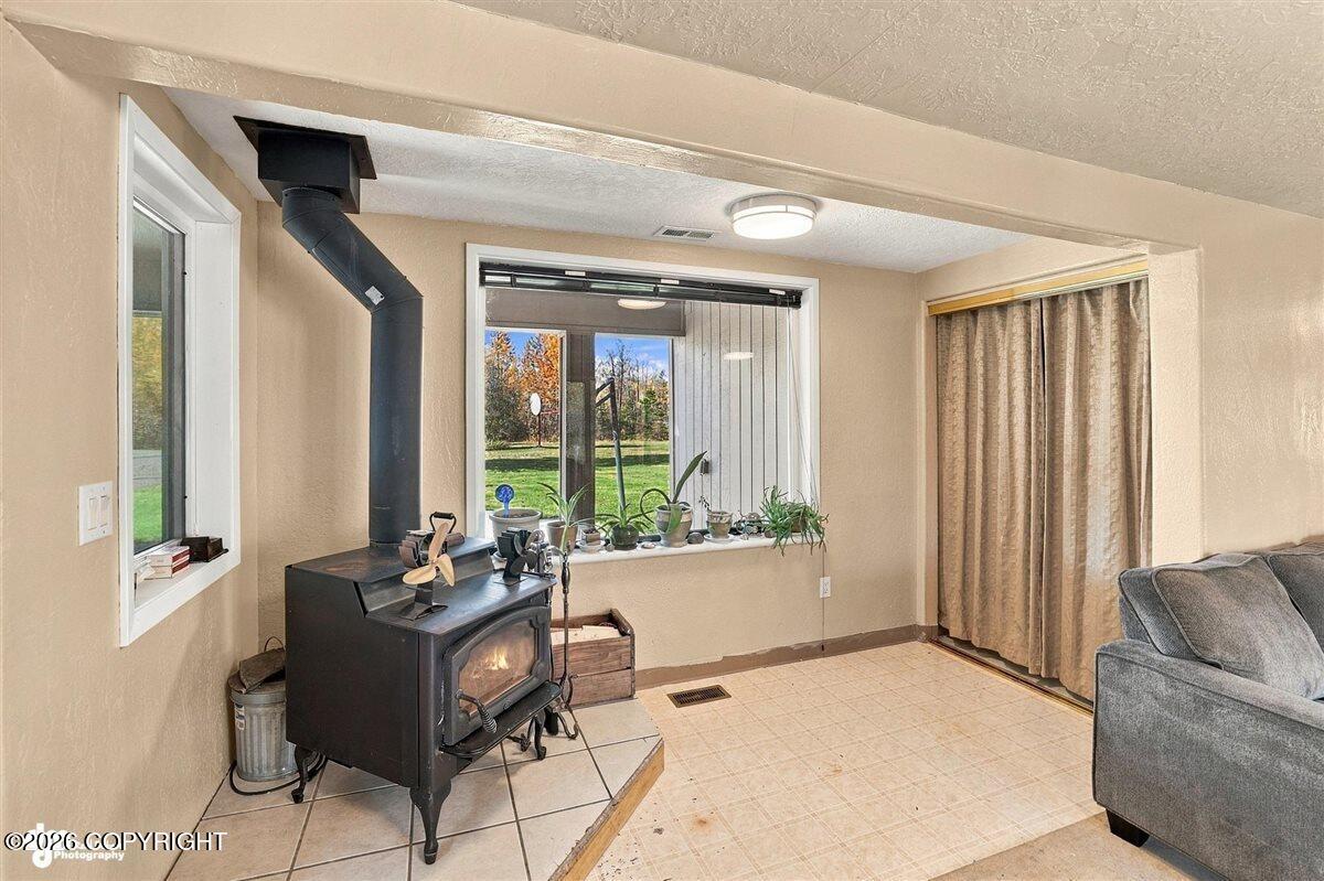29453 W Parks Highway Property Photo 24