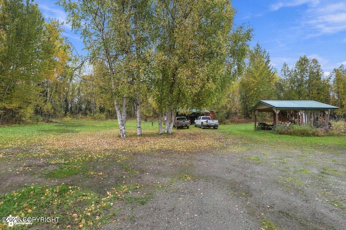 29453 W Parks Highway Property Photo 26