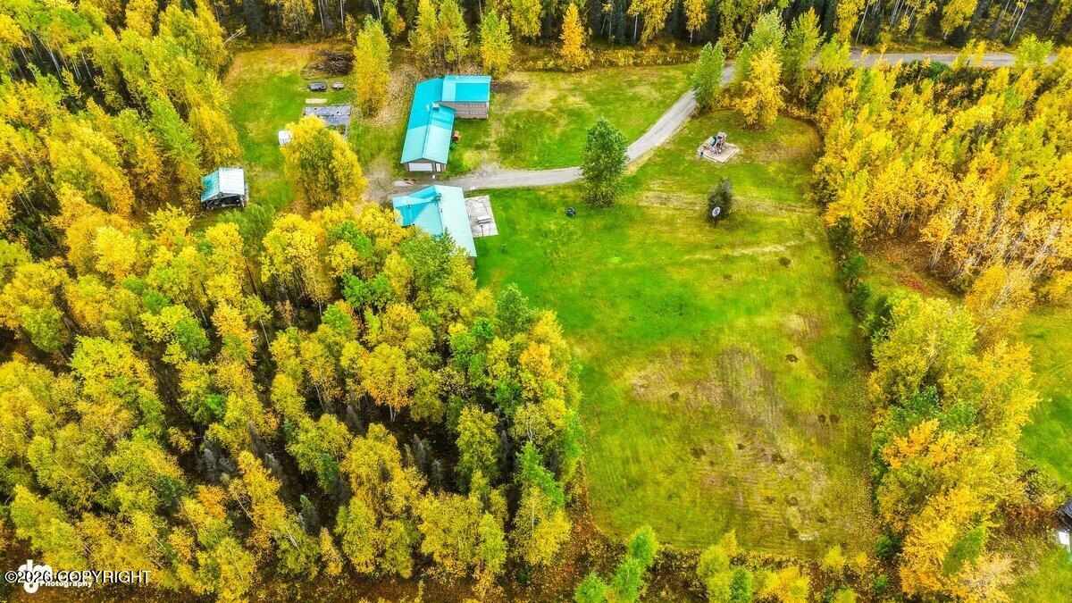 29453 W Parks Highway Property Photo 33