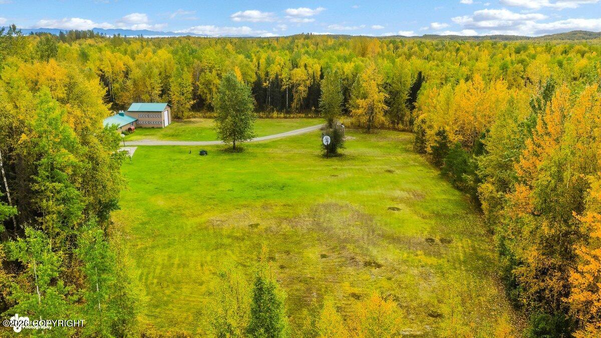 29453 W Parks Highway Property Photo 34