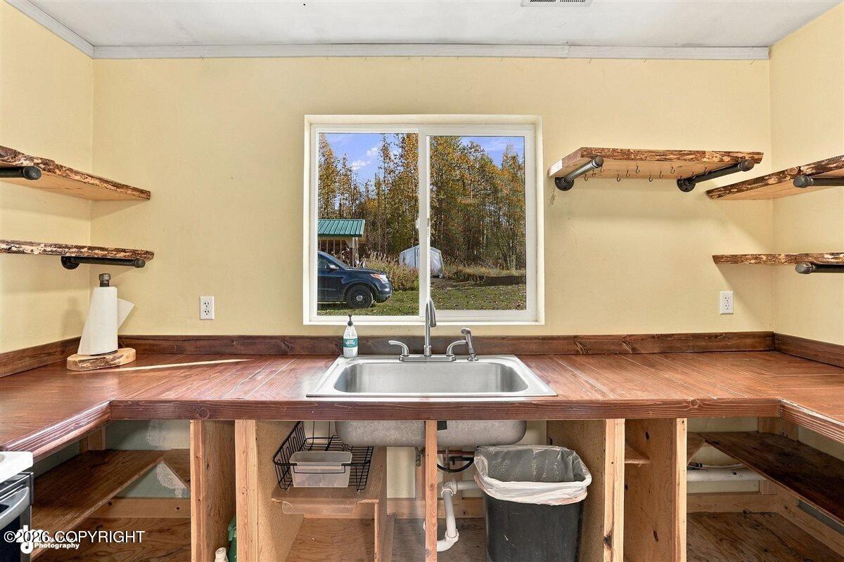 29453 W Parks Highway Property Photo 51