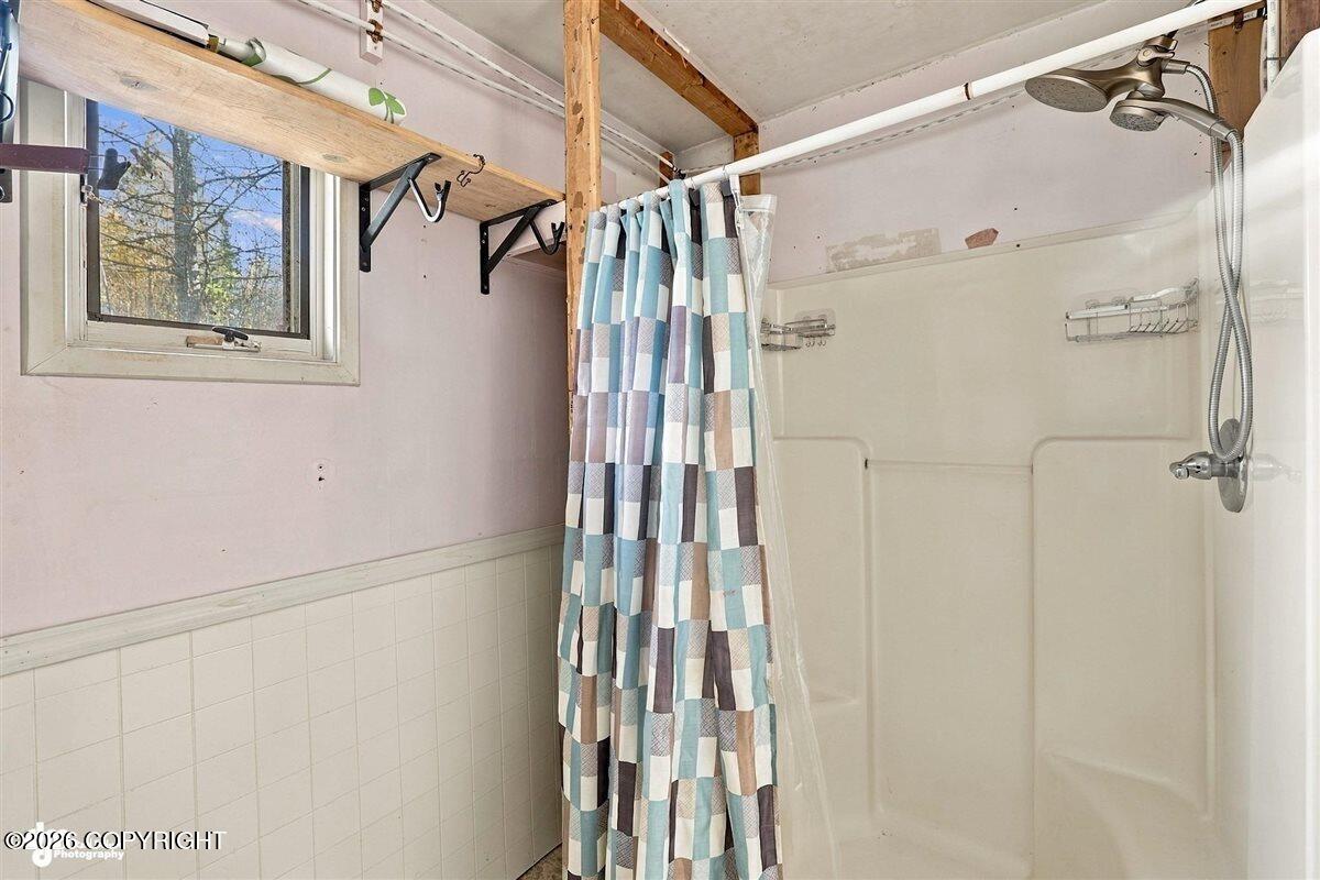 29453 W Parks Highway Property Photo 63