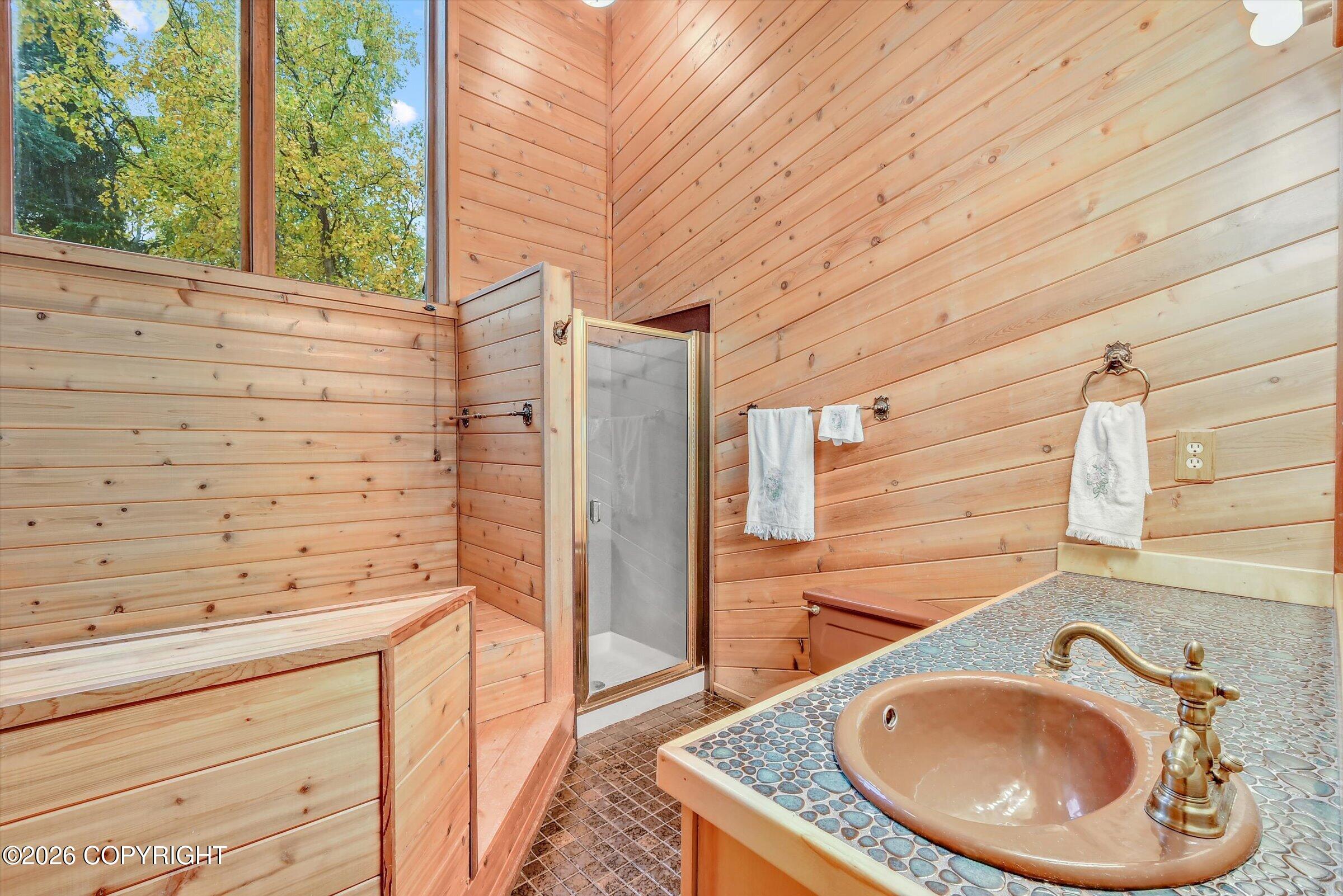 4221 Southpark Bluff Drive Property Photo 6
