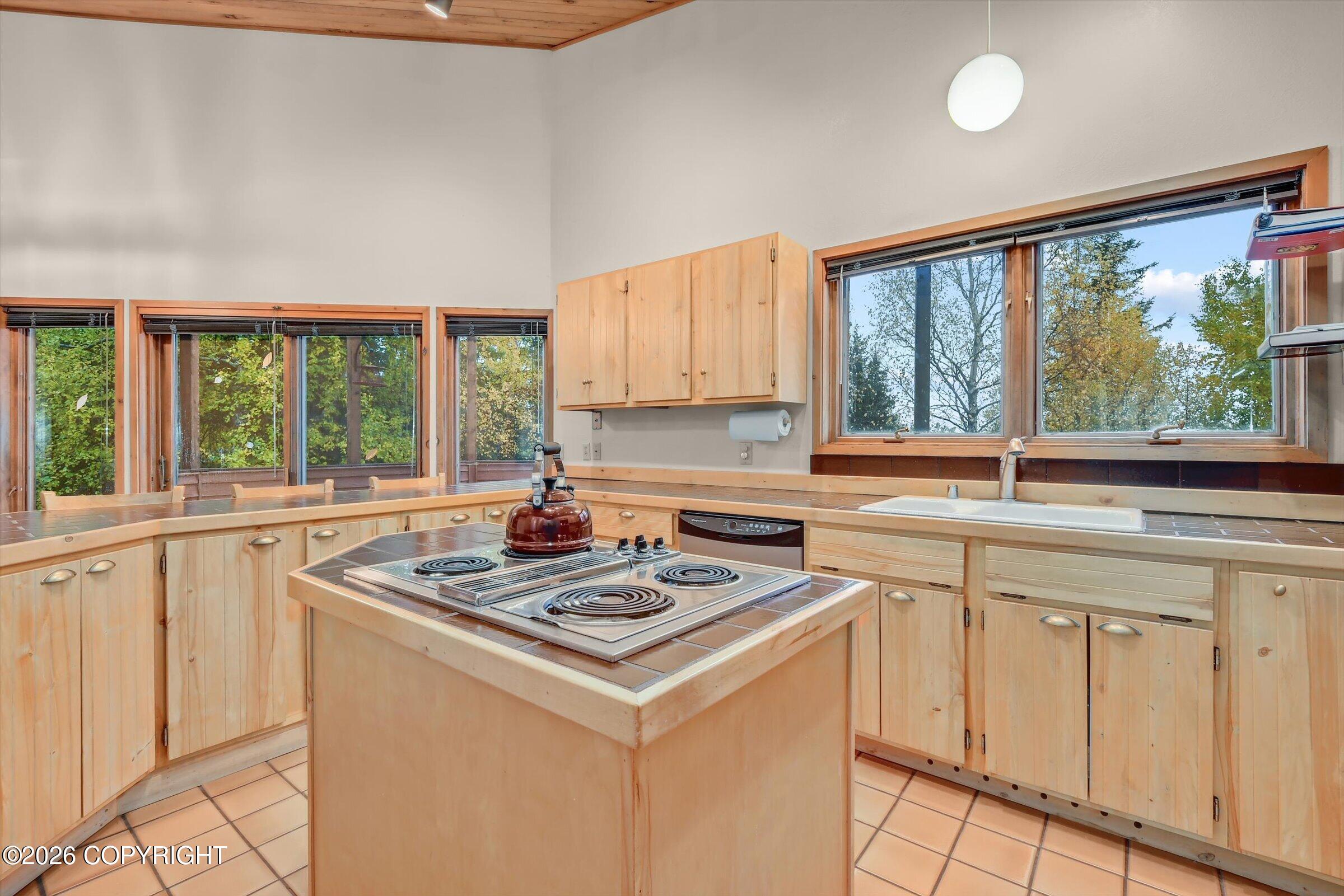 4221 Southpark Bluff Drive Property Photo 10