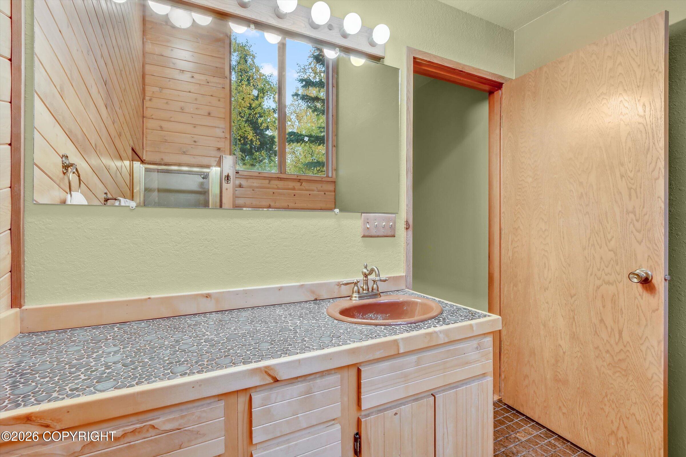 4221 Southpark Bluff Drive Property Photo 23