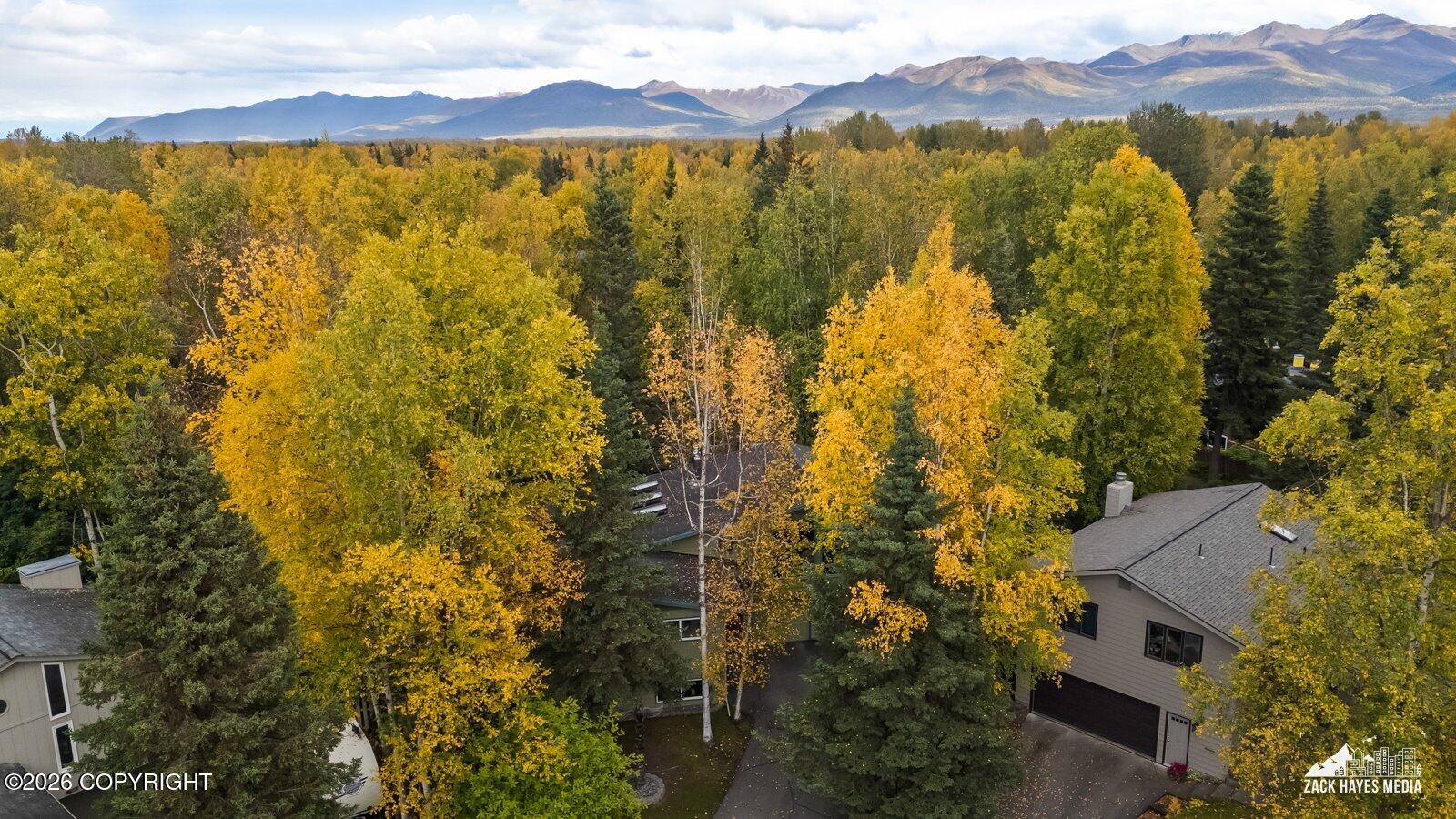 3529 Cottonwood Street Property Photo 91