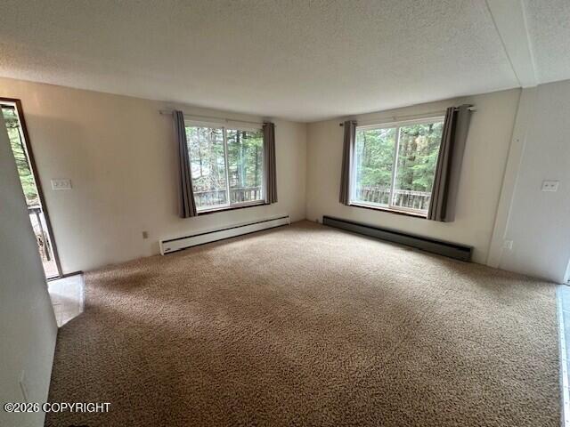 697 D 2 Loop Road Upper Property Photo 9
