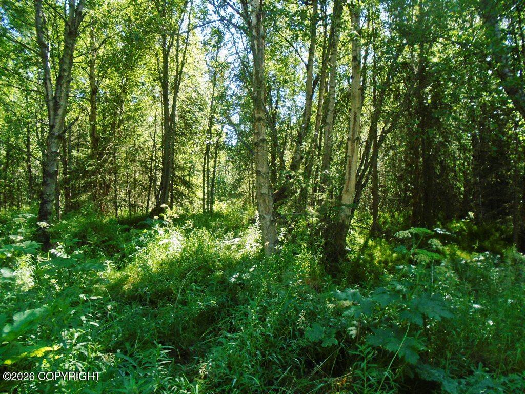 Lot 3 Our Own Lane Property Photo 2