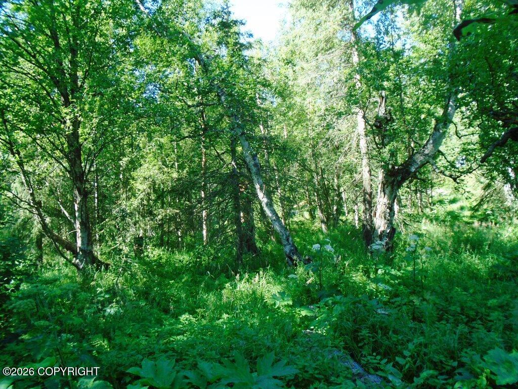 Lot 3 Our Own Lane Property Photo 3