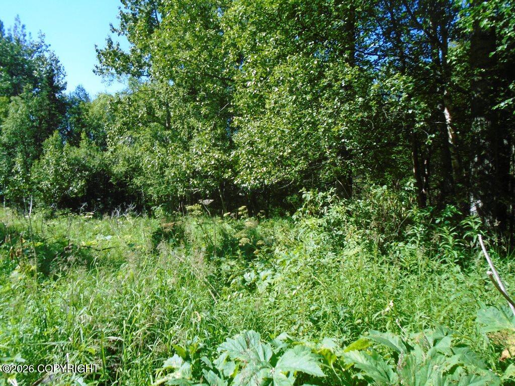 Lot 3 Our Own Lane Property Photo 8