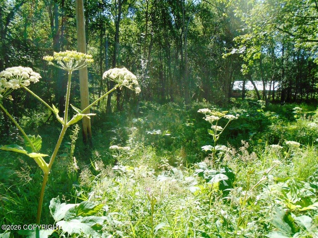Lot 3 Our Own Lane Property Photo 10