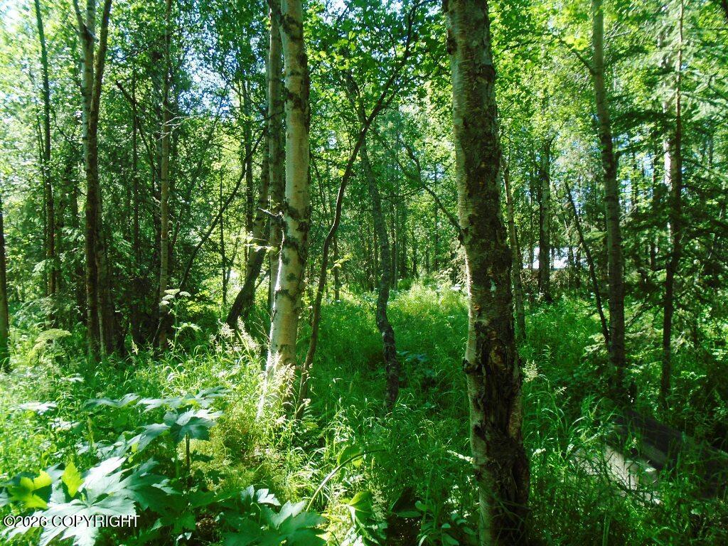 Lot 3 Our Own Lane Property Photo 11