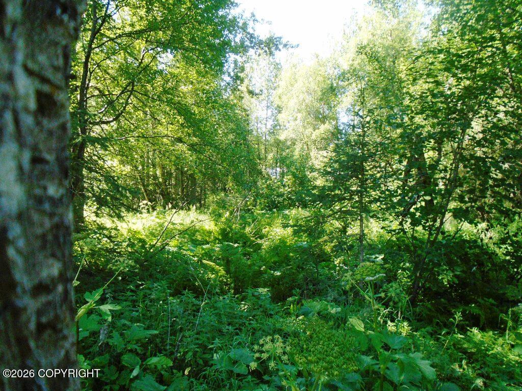 Lot 3 Our Own Lane Property Photo 13