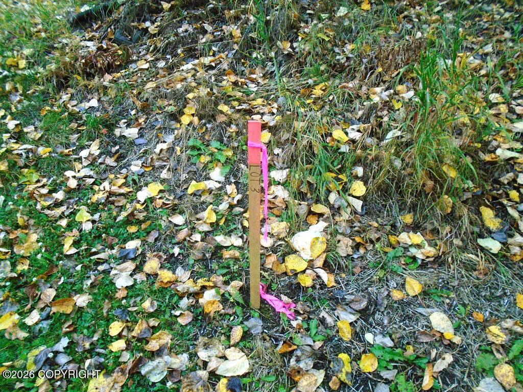Lot 3 Our Own Lane Property Photo 15
