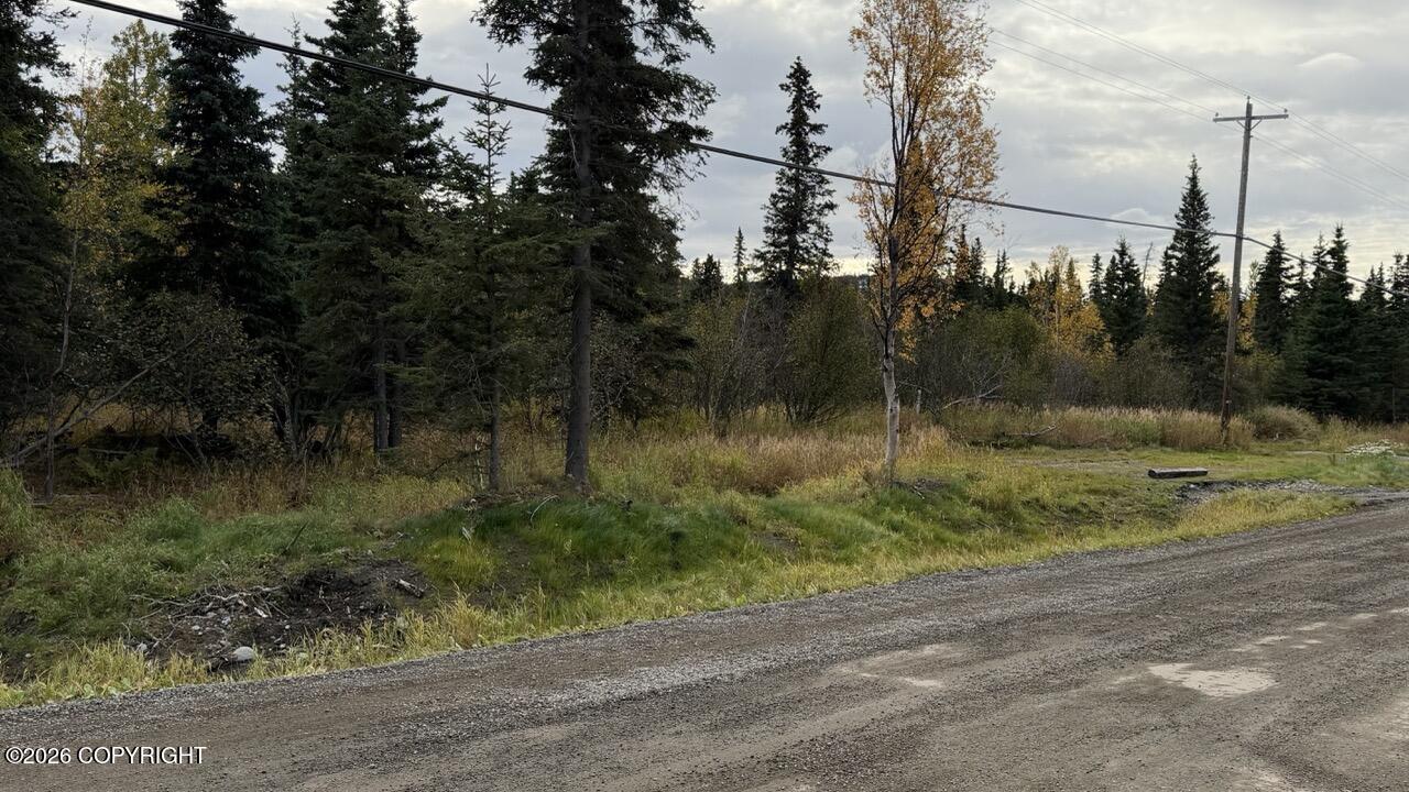 None L4a B1v Rabbit Creek View Sub. Property Photo 2