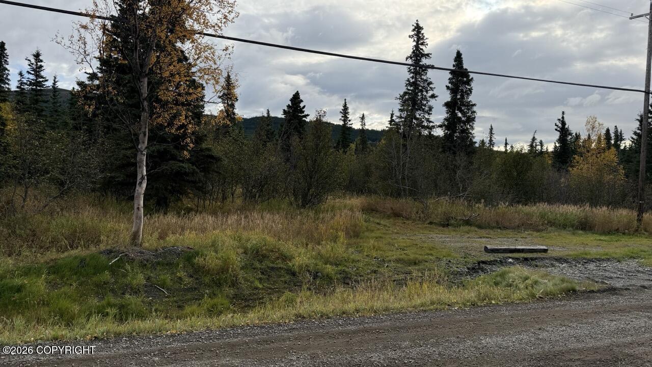 None L4a B1v Rabbit Creek View Sub. Property Photo 3