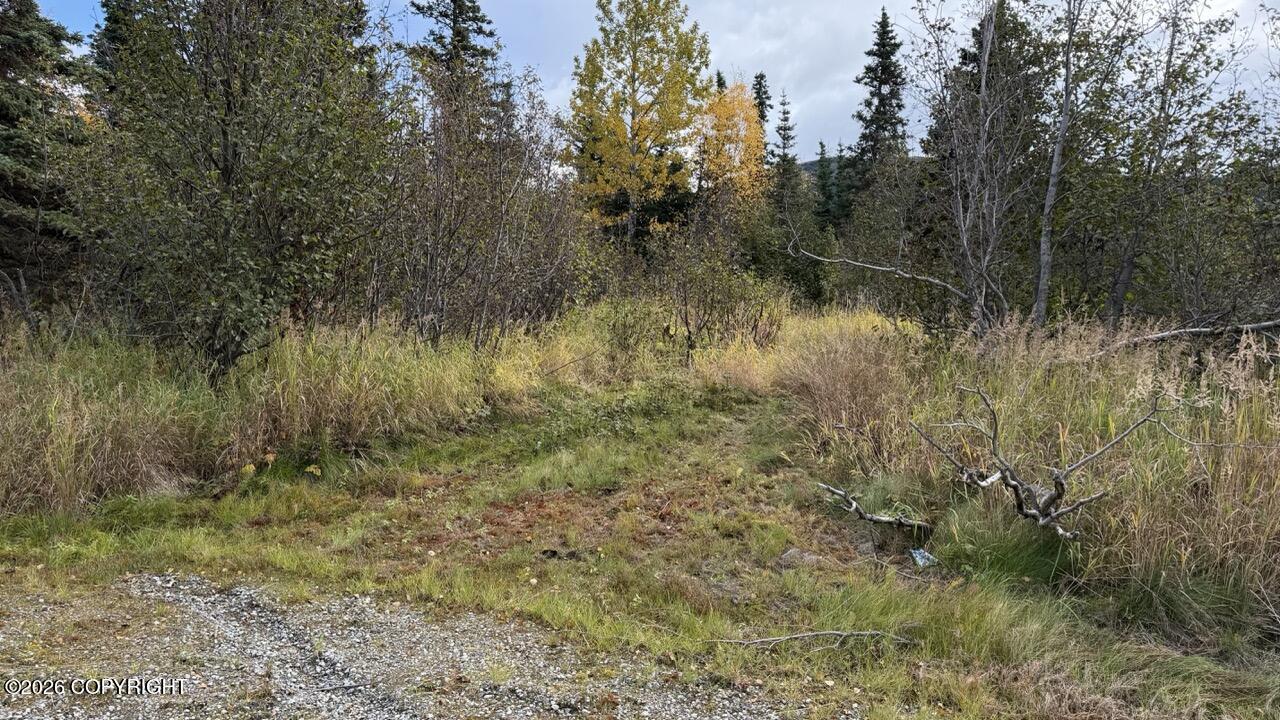None L4a B1v Rabbit Creek View Sub. Property Photo 9