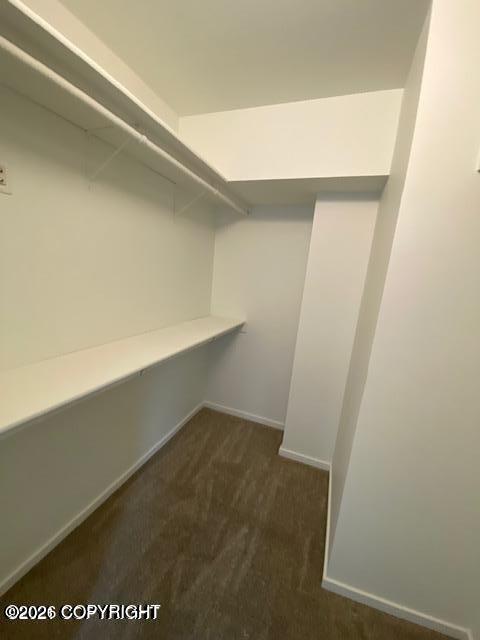 5201 E Northern Lights Boulevard #7w Property Photo 14