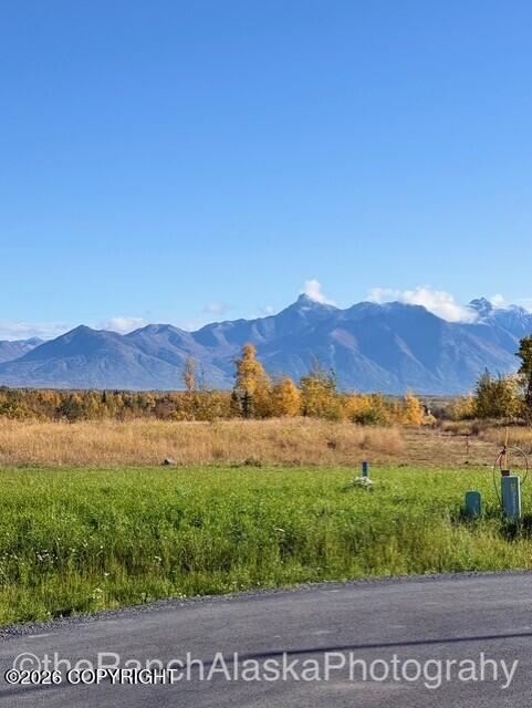 5619 E Forever View Circle Property Photo 3