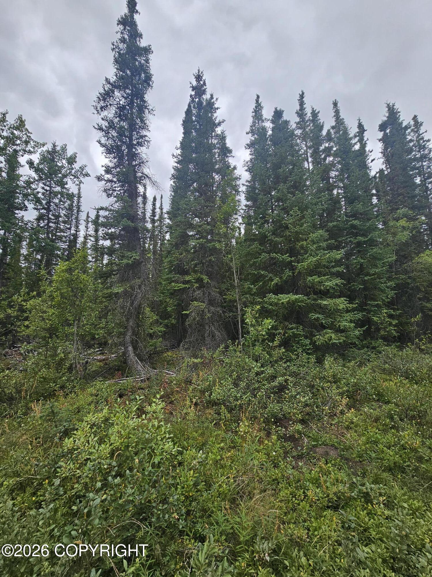 L16 B1 Trapline Drive Property Photo 2