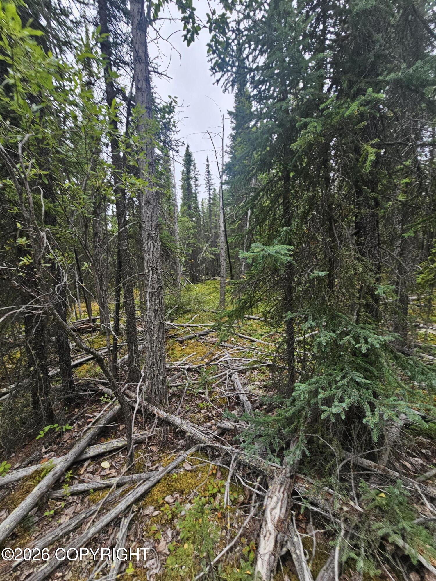 L16 B1 Trapline Drive Property Photo 6