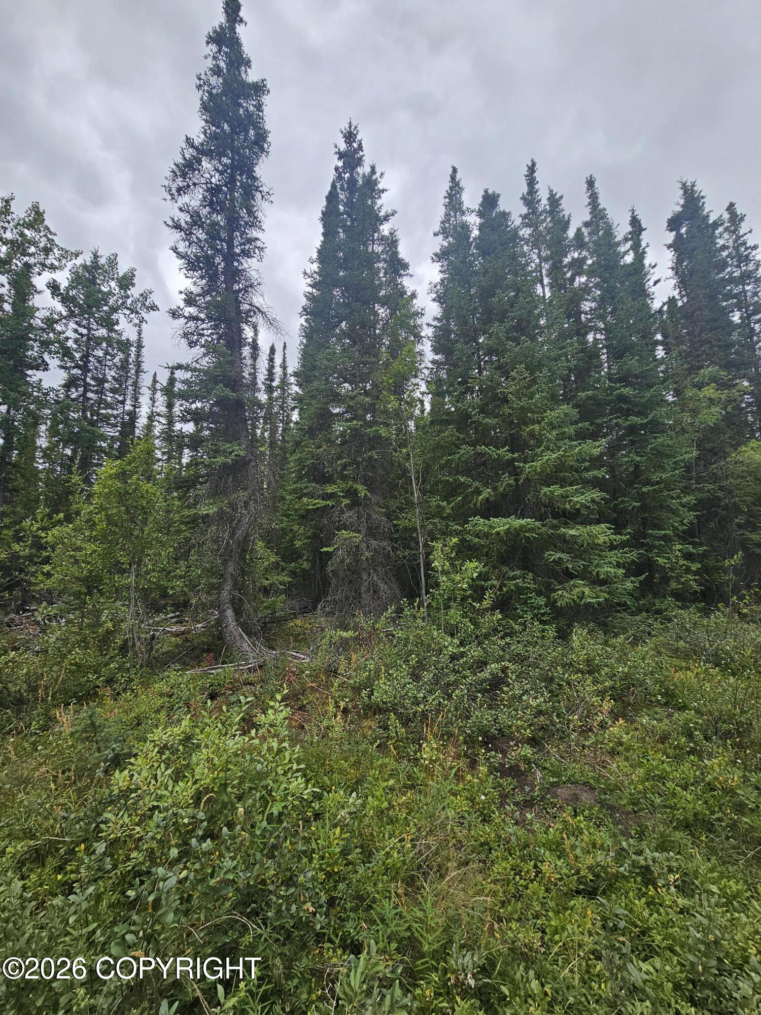 L2 B2 Trapline Drive Property Photo 2