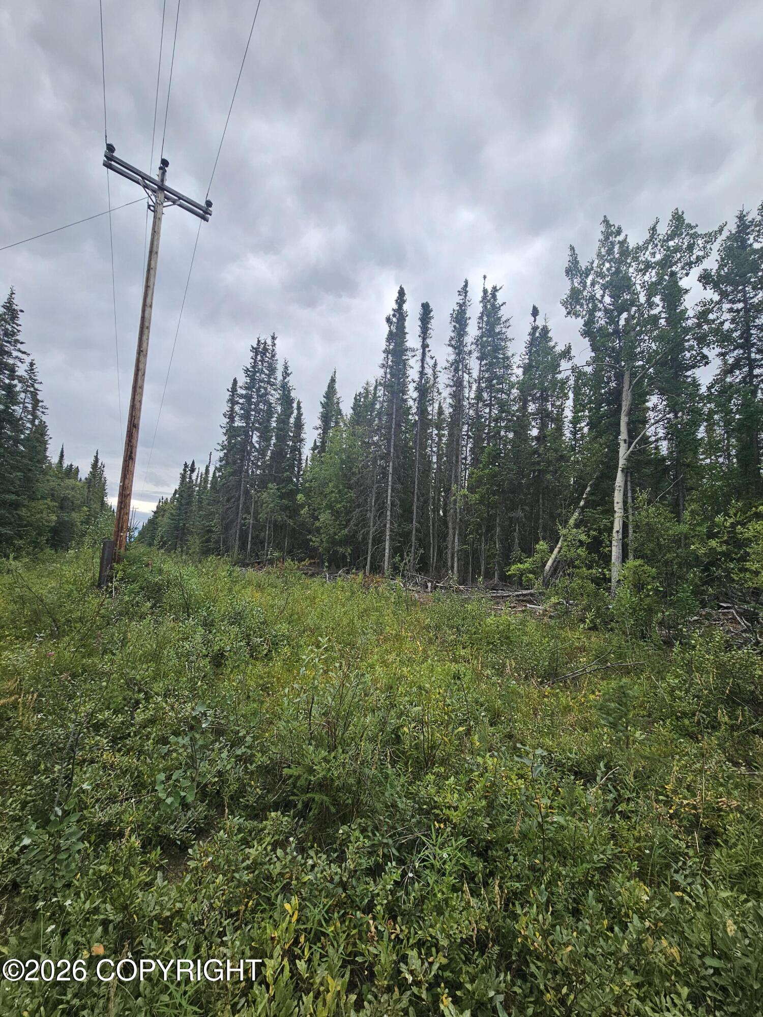 L2 B2 Trapline Drive Property Photo 3