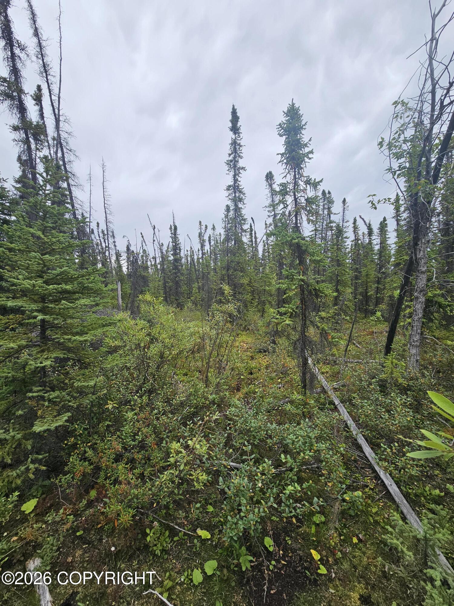 L2 B2 Trapline Drive Property Photo 7